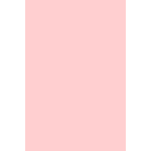 POWERBASE cover pink 10.5ml Andreia