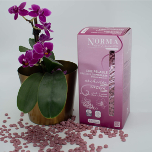 Cire Orchidée Cassis granulés 800g