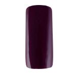 Gel de couleur  "cassis" Peggy Sage 5g